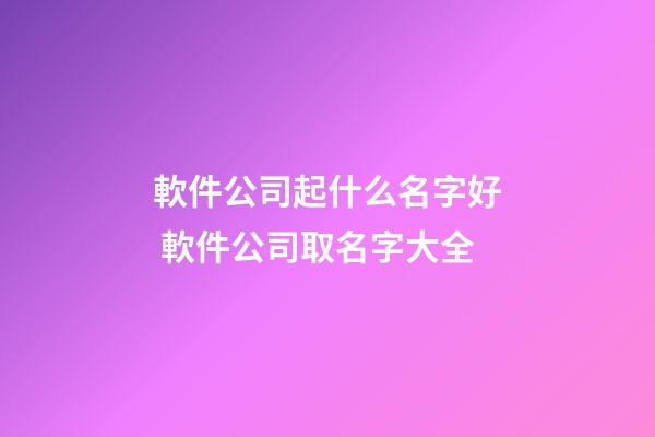軟件公司起什么名字好 軟件公司取名字大全-第1張-公司起名-玄機派